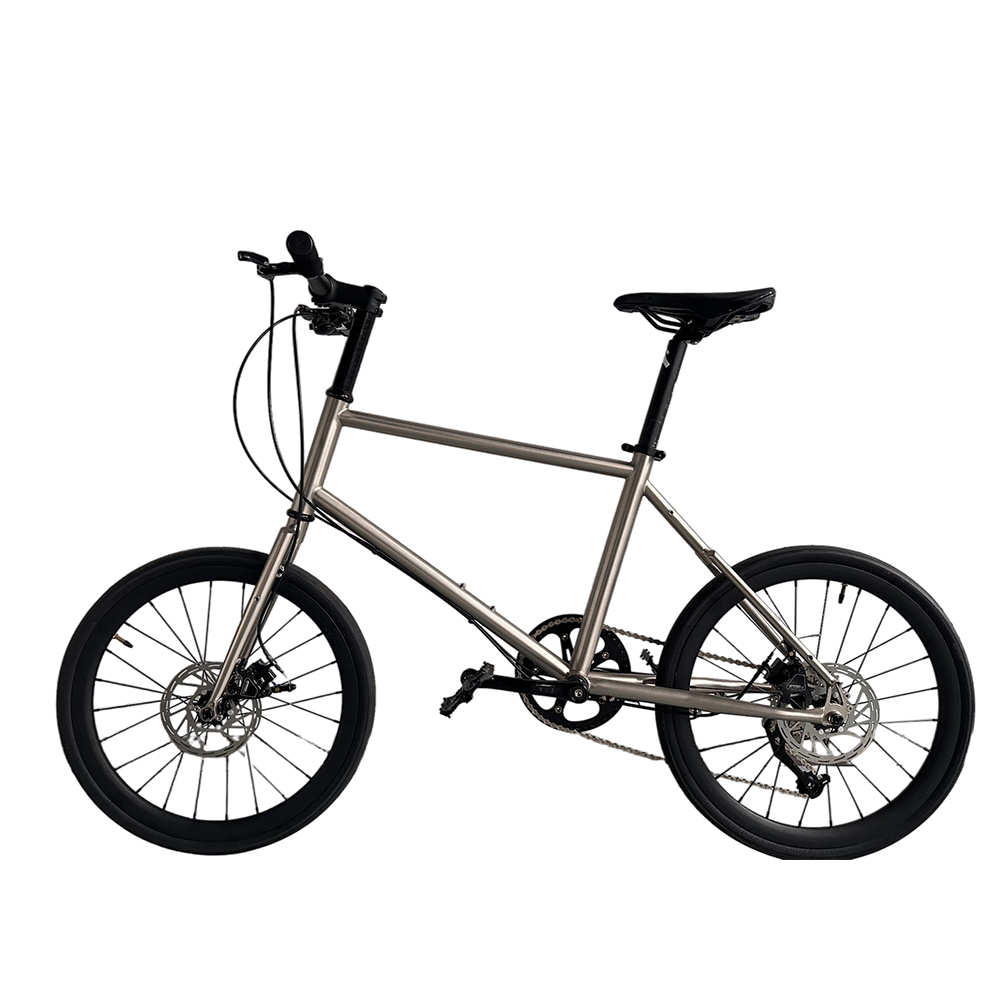 20 Inch Boy Bikes Child Gear B - Cycling Gear Manufacturer 评论和价格